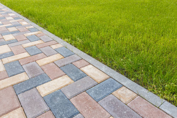 Best Driveway Paving Contractor  in Wickes, AR